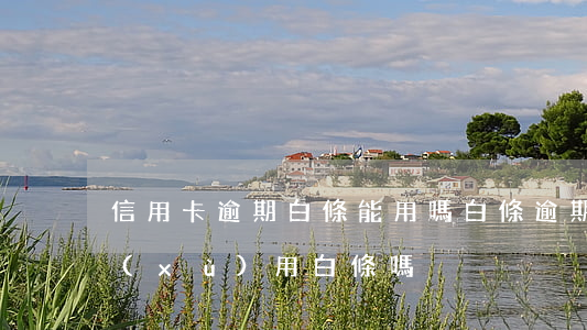 信用卡逾期白條能用嗎(白條逾期了還能繼續(xù)用白條嗎)