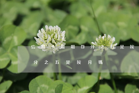 信用卡逾期百分之五是按月嗎(信用卡逾期百分之五是按月嗎)