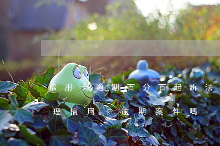 信用卡逾期百分百起訴(法院會(huì)受理信用卡逾期案件嗎)