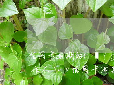 信用卡逾期的5個(gè)動(dòng)作(不小心信用卡逾期)