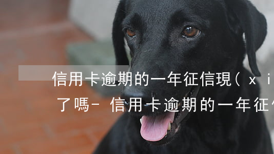 信用卡逾期的一年征信現(xiàn)在好了嗎-信用卡逾期的一年征信現(xiàn)在好了嗎還能用嗎