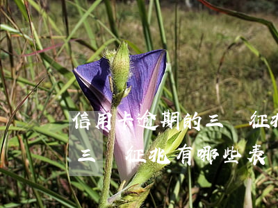 信用卡逾期的三個征兆有哪些(信用卡逾期的三個征兆有哪些表現(xiàn))