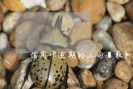 信用卡逾期的三句話(最新的信用卡逾期處理)