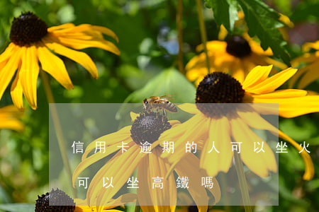 信用卡逾期的人可以坐火車嗎(欠信用卡逾期可以坐高鐵嗎)
