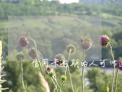 信用卡逾期的人可以送外賣嗎