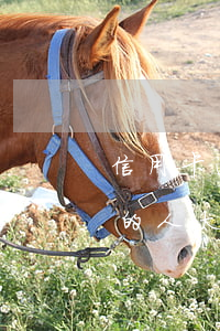信用卡逾期的人太多银行收不回(信用卡逾期的人太多银行收不回钱怎么办)