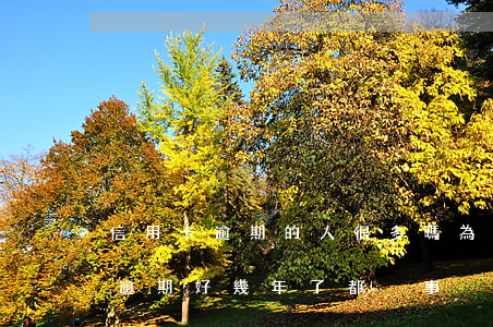 信用卡逾期的人很多嗎(為什么有些人信用卡逾期好幾年了都沒事?)