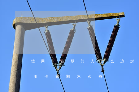 信用卡逾期的人怎么追討債務(wù)-信用卡逾期怎么辦