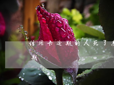 信用卡逾期的人死了怎么辦(人死后信用卡逾期)