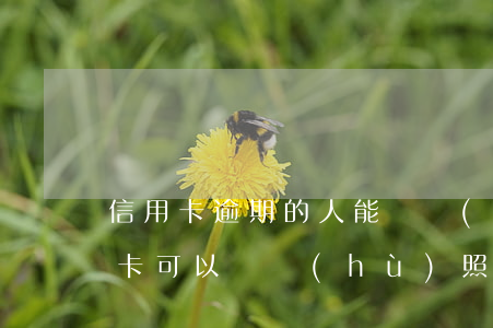 信用卡逾期的人能辦護(hù)照嗎(欠信用卡可以辦護(hù)照嗎)