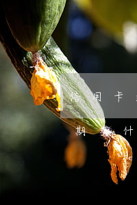 信用卡逾期的人都怎樣了-今年的信用卡逾期有什么處理