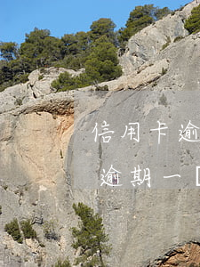 信用卡逾期的什么時候能消除(征信上信用卡逾期一個月 什么時候能消除)