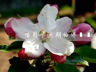 信用卡逾期的保證書(信用卡逾期的保證書怎么寫)