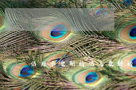 信用卡逾期的信息(最新的信用卡逾期處理)