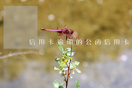 信用卡逾期的公函(信用卡 逾期 收到 律師 通告)