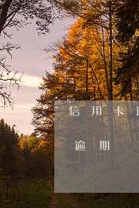 信用卡逾期的具體時間怎么查(如何查信用卡逾期)