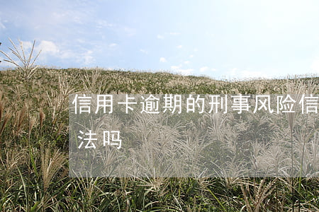 信用卡逾期的刑事风险(信用卡逾期会触犯刑法吗?)