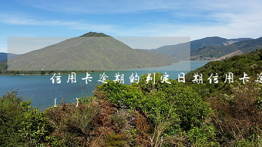 信用卡逾期的判定日期(信用卡逾期時(shí)間)