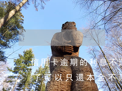 信用卡逾期的利息不還可以嗎(欠信用卡逾期了可以只還本金不還利息嗎)