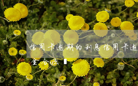 信用卡逾期的利息(信用卡逾期的利息和違約金合法嗎)
