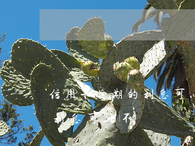 信用卡逾期的利息可以不還嗎(信用卡逾期的利息可以不還嗎嗎)