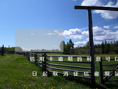 信用卡逾期的利息可以申請退回嗎-5月1日起取消征信逾期記錄