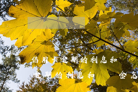 信用卡逾期的利息和滯納金怎么算-信用卡逾期的利息和滯納金怎么算的