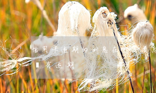 信用卡逾期的利息在哪里看(怎么看信用卡有沒有逾期)