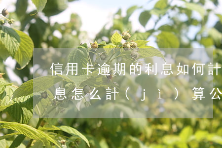 信用卡逾期的利息如何計(jì)算(逾期利息怎么計(jì)算公式)