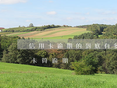 信用卡逾期的到底有多少錢(什么情況下信用卡算逾期)