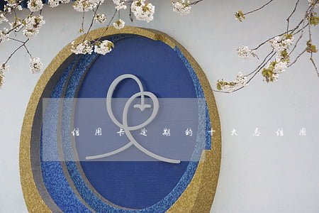 信用卡逾期的十大忌(信用卡逾期的十大忌語)