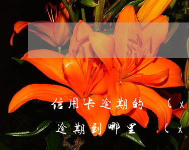 信用卡逾期的協(xié)商還款嗎(信用卡逾期到哪里協(xié)商還款)