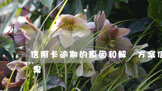 信用卡逾期的原因和解決方案 信用卡 逾期 后果