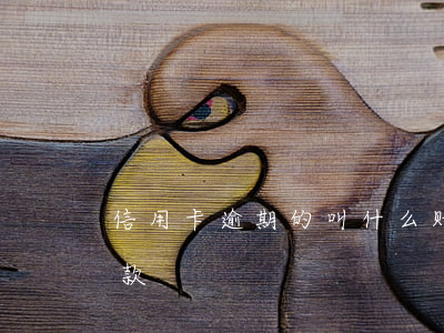 信用卡逾期的叫什么账(什么是信用卡逾期还款)