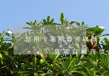 信用卡逾期的可以辦寬帶嗎(有逾期網(wǎng)貸可以辦理信用卡嗎)