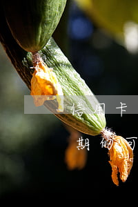 信用卡逾期的可以辦理etc嗎-信用卡逾期的可以辦理etc嗎安全嗎
