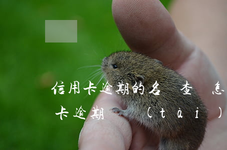 信用卡逾期的名單查詢(怎么查詢家人的信用卡逾期狀態(tài))