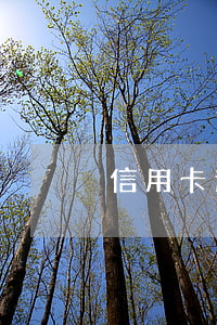 信用卡逾期的后悔(信用卡逾期的后悔書)