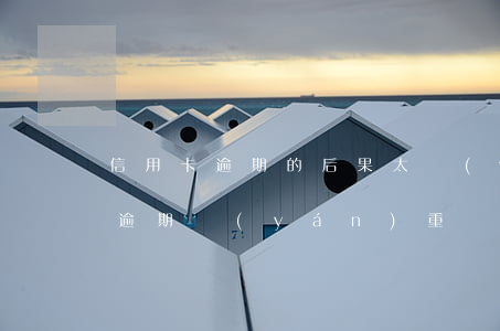 信用卡逾期的后果太嚴(yán)重(信用卡逾期嚴(yán)重嗎)