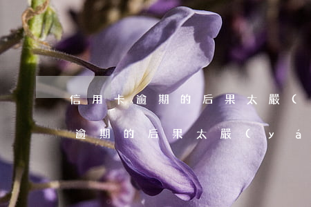信用卡逾期的后果太嚴(yán)重(信用卡逾期的后果太嚴(yán)重怎么辦)
