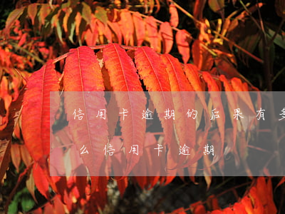 信用卡逾期的后果有多嚴(yán)重(為什么信用卡逾期)