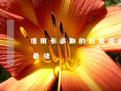 信用卡逾期的后果法律(法院對信用卡逾期的看法)