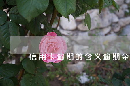 信用卡逾期的含义(逾期金额是什么意思)