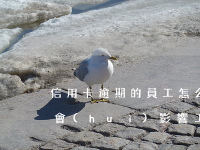 信用卡逾期的員工怎么處理(我信用卡逾期了會(huì)影響工作嗎)
