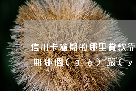 信用卡逾期的哪里貸款靠譜(貸款跟信用卡逾期哪個(gè)嚴(yán)重)