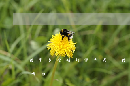 信用卡逾期的四大好處(信用卡逾期的危害有哪些)