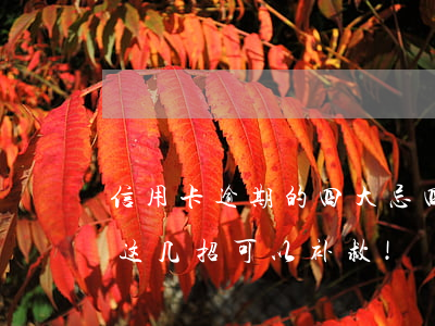 信用卡逾期的四大忌四点(信用卡逾期?不要慌,这几招可以补救!)