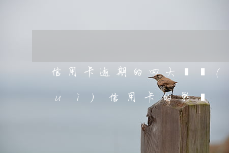 信用卡逾期的四大誤區(qū)(逾期對(duì)信用卡的影響)