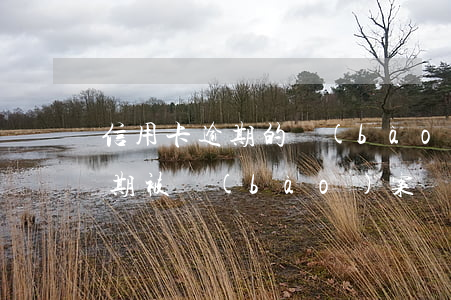 信用卡逾期的報(bào)案通知(信用卡逾期被報(bào)案)