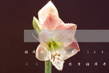 信用卡逾期的多長(zhǎng)時(shí)間能消除(有信用卡逾期記錄多久可以消除)